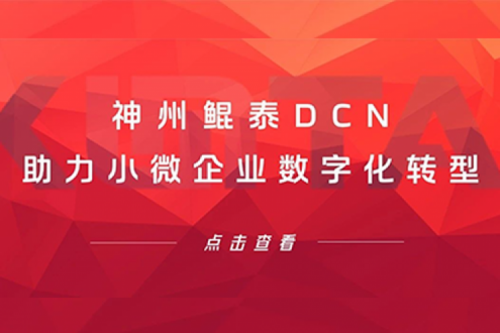 PA视讯国际 PA国际DCN助力小微企业数字化转型